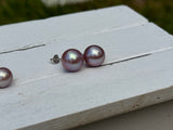 11-12mm Blush Pink Pearl Studs