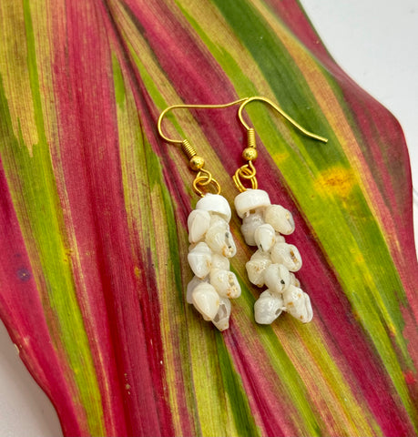 SALE! NIIHAU MOMI SHELL EARRINGS
